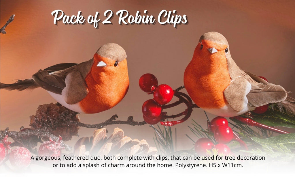 Set of 2 Robin Clips