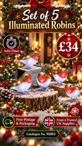 Set Of 5 illuminating Robins