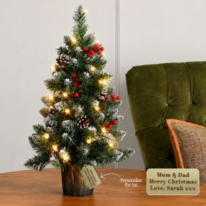 Pre-Lit Potted Tabletop Christmas Tree With Free Personalisation