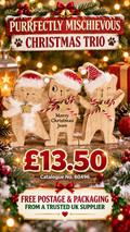 Purrfectly Mischievous Christmas Trio With Free Personalisation