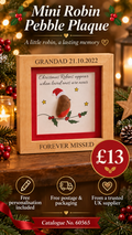 Mini Robin Pebble Plaque With Free Personalisation